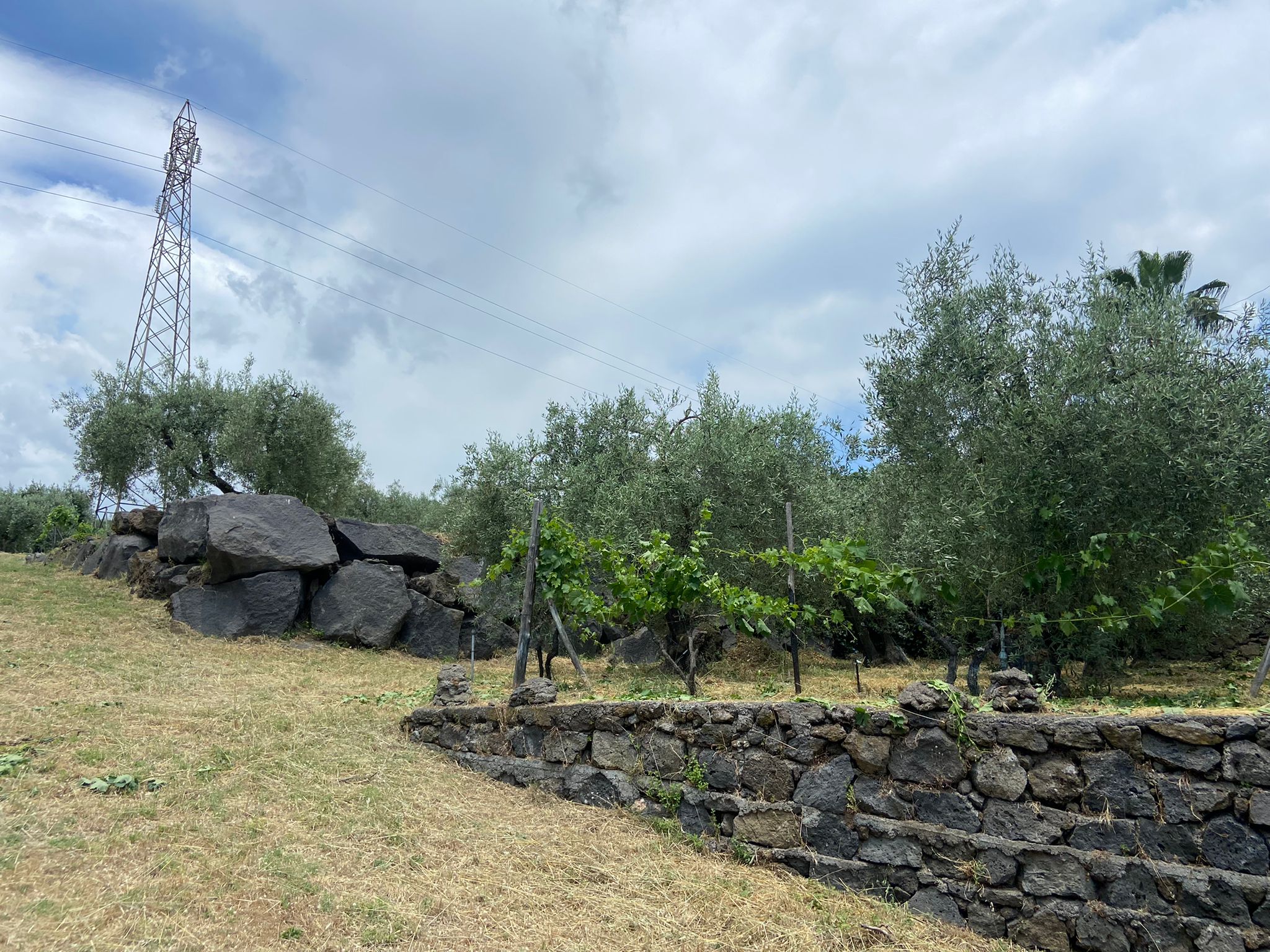 Terreno edificabile a Viagrande